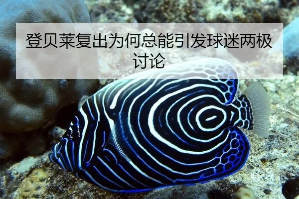 deng-bei-lai-fu-chu-wei-he-zong-neng-yin-fa-qiu-mi-liang-ji-tao-lun-2-355.jpg